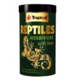 Tropical Reptil Herbívoro