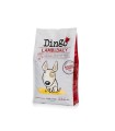 Dingo Lamb & Daily